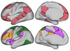 DMN Connectivity paper Image