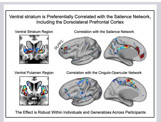 Publication in Journal of Neurophysiology