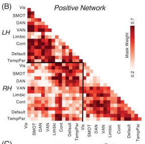 Publication in Alzheimer's & Dementia