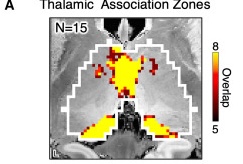 Publication at Neuron