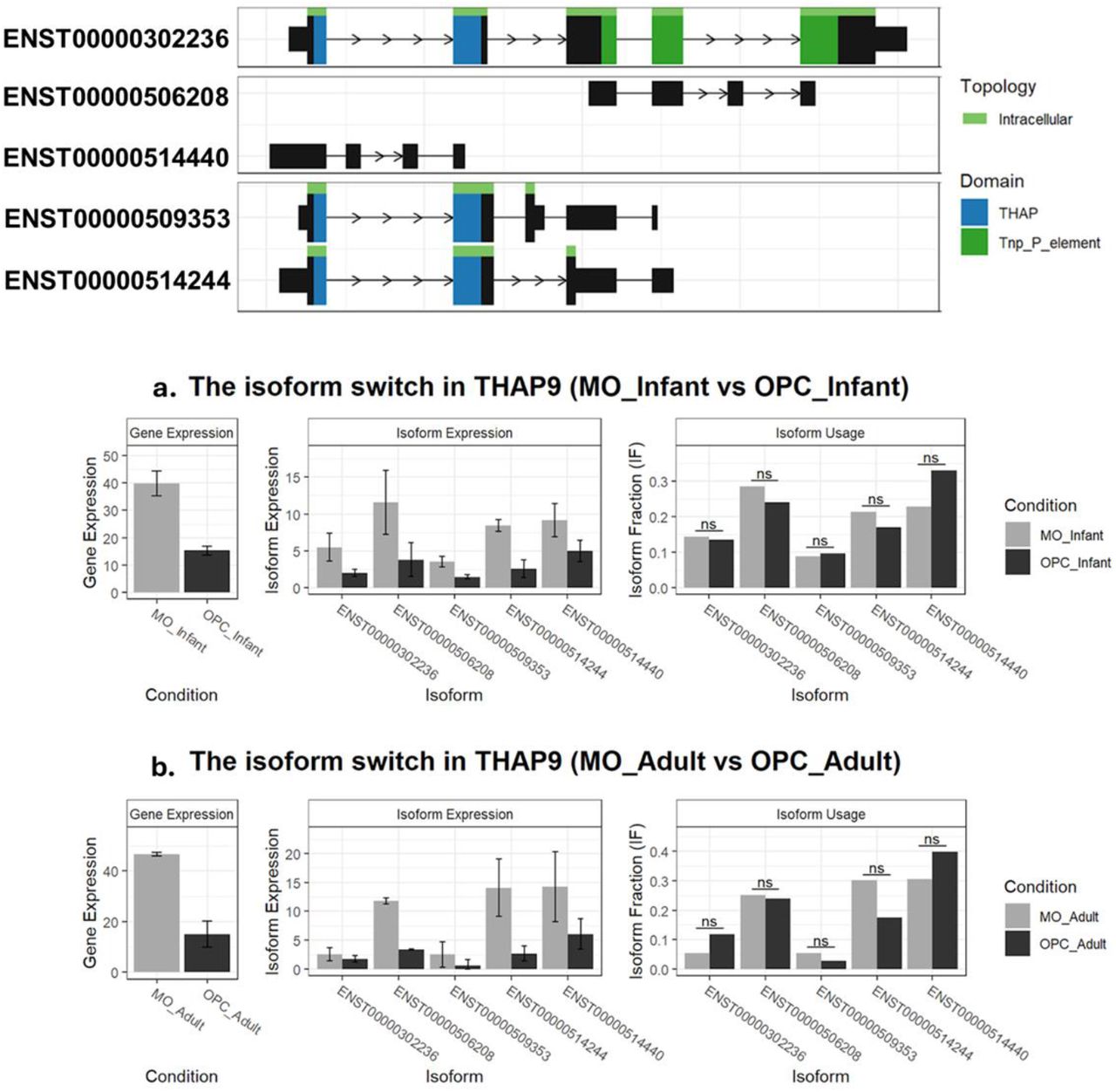 Transcriptional Landscape of THAP9 across Oligodendrocyte Developmental Stages (preprint)