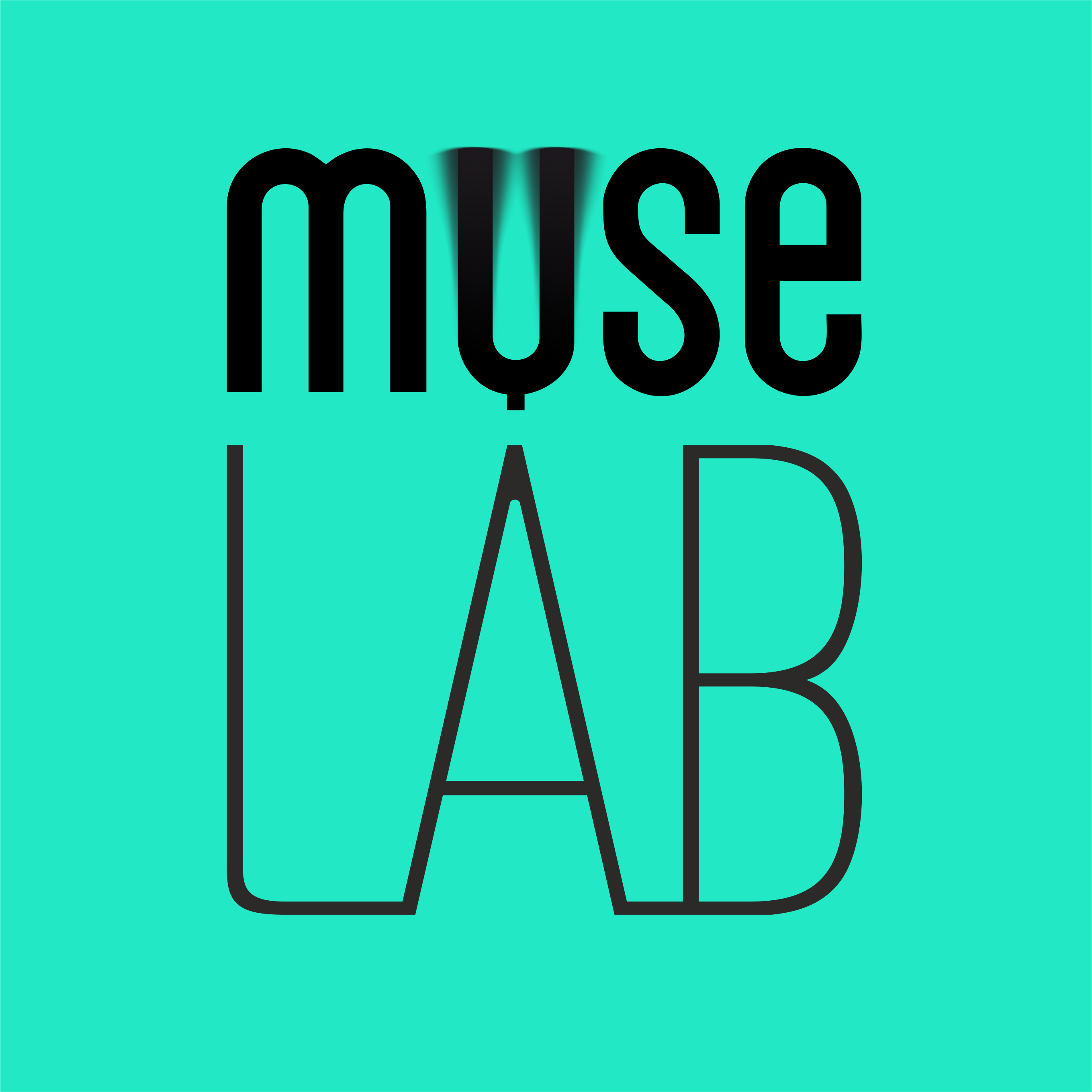 MUSE Laboratory